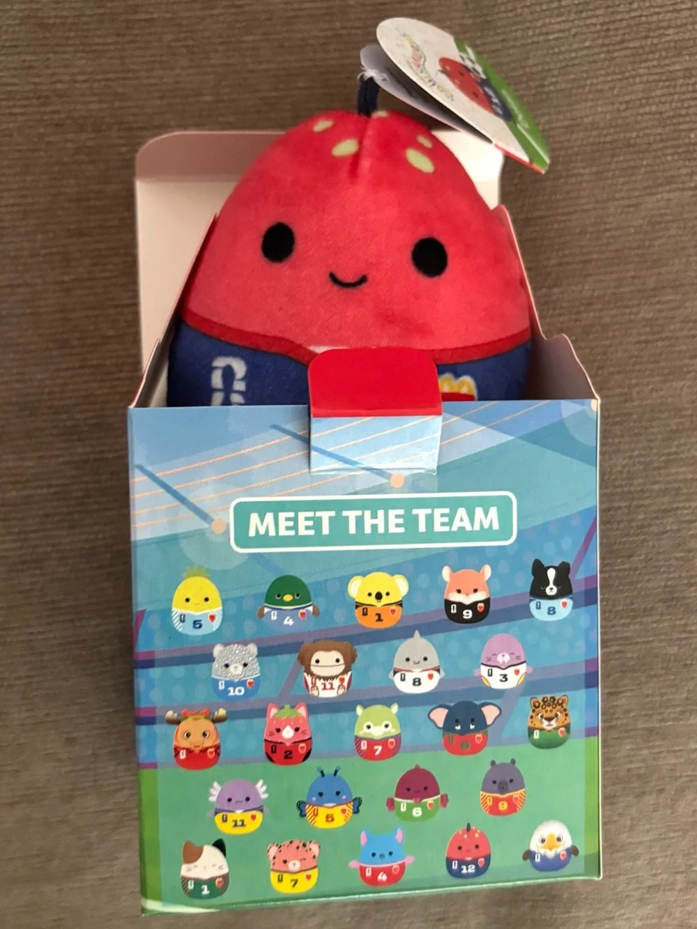 2026 World Cup McDonald's FIFA Squishmallows #22 Dolan Limited Edition